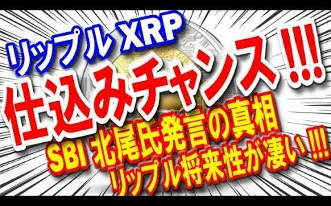 【仮想通貨】リップル《XRP》仕込みチャンス!!! SBI北尾氏発言の真相…リップルの将来性がスゴイ!!!