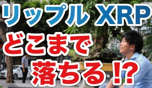 【仮想通貨】リップル（XRP）どこまで落ちる？暴落中は手を出すな！【暗号通貨】