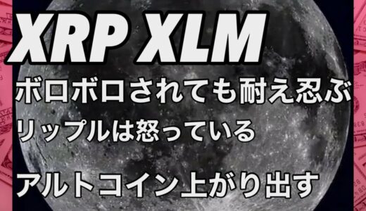 リップル XRP XLM  ビットコイン ここから大事　アルトコインが上がり出す