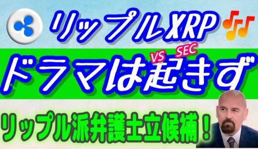 【仮想通貨】法廷闘争でドラマは起きず！【リップルXRP】リップルCEOがXRPETFについて言及。ジョンディートン氏立候補⁉