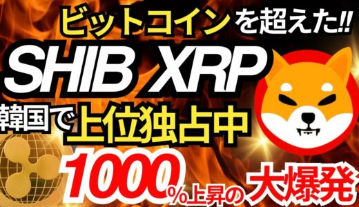 【SHIB×XRP】リップルとSHIBが韓国でNo.1!!プロトレーダーも大注目です!!＃SHIB＃柴犬コイン＃仮想通貨＃XRP＃リップル