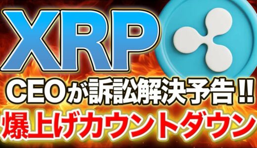 【リップル】CEOが訴訟解決予告！爆上げカウントダウン！！