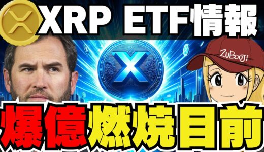 【🔥XRP反撃】リップルCEOがXRP ETFに強気！爆億昇竜拳｜ビットコイン過去最高を更新中｜ETHアップグレード後に〇〇が上昇｜Solanaがマジでヤバいから見て｜柴犬の今後＆WIFが爆上げ