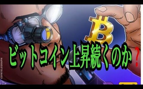 【仮想通貨】リップル最新情報❗️ビットコイン上昇は続くのか❓