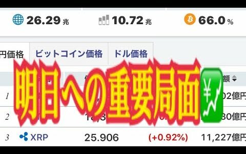 【仮想通貨】リップル最新情報‼️明日への重要局面💹