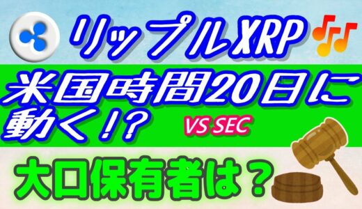 【仮想通貨】大口保有者（クジラ）動向！【リップルXRP】SEC対リップル訴訟の情報