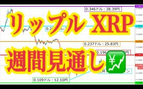 【仮想通貨】リップル最新情報‼️リップル XRPについて　 XRP週間見通し💹