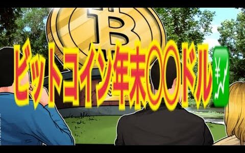 【仮想通貨】リップル最新情報❗️ビットコイン年末◯◯ドルへ‼️