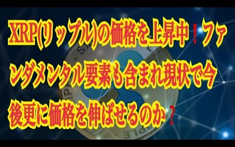 【仮想通貨】リップル最新情報‼️XRP(リップル)の価格を上昇中❗️ファンダメンタル要素も含まれ現状で今後更に価格を伸ばせるのか❓