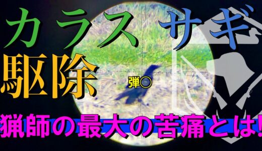 【有害鳥獣駆除】ハンター最大の苦痛とは！？エアライフル空気銃猟