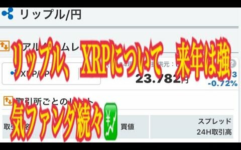 【仮想通貨】リップル最新情報‼️リップル、 XRPについて　来年は強気ファンダ続々💹