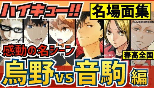 【ハイキュー】烏野対音駒戦 名シーン名場面集！日向影山vs黒尾研磨の試合が熱い！【最終話まで全話ネタバレ注意】