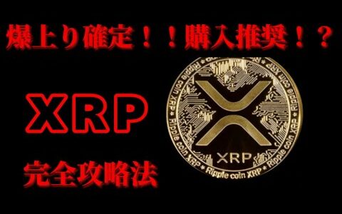 【リップルの時代到来！！】【仮想通貨バブル】【仮想通貨】【暗号通貨】【XRP】【SHIB】【ソラナ】【イーサリアム】【新規情報】【最新情報】【リップル】【ビットコイン】【新規銘柄】【PEPE】【解説】