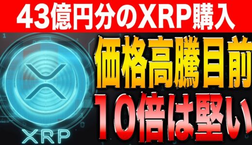 【最新情報】大口投資家が動く！まもなくXRPの価格が上昇します！【リップル】【シバコイン】【ドージ】【イーサリアム】【仮想通貨】【XRP】【SHIB】【DOGE】【Ripple】【Ethereum】