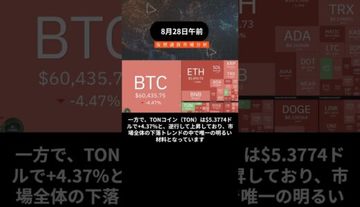 8月28日 仮想通貨市場大幅下落！BTCが4%以上の急落！#ビットコイン #仮想通貨 #BTC #ETH #マーケット分析 #暗号資産 #ソラナ #カルダノ #TONコイン #市場動向 #投資