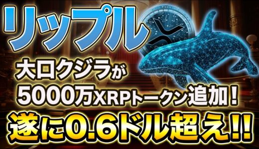 【リップル】クジラが5000万XRPトークン追加！リップル0.6ドル超え