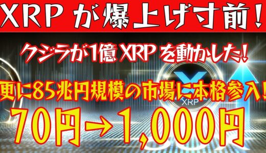 【XRPが爆上げ寸前！】新ステーブル誕生で遂に動く！1億リップル送金でクジラも大量蓄積！XRPの買い時、全て教えます【仮想通貨】【BTC】【ビットコイン】【SHIB】