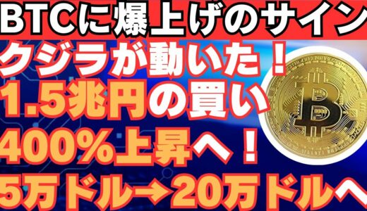 【BTCバブル確定！】過去400％以上価格上昇したシグナル！クジラが今BTCを買いまくっています！【仮想通貨】【ビットコイン】【XRP】【リップル】【SHIB】