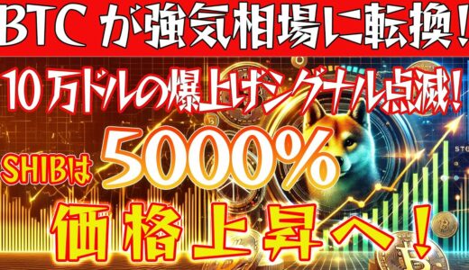 【BTCが超重要局面へ突入！】SHIBは5000％の価格上昇へ！もう仮想通貨バブルは始まっています！【ビットコイン】【XRP】【リップル】