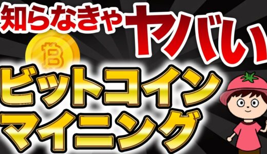 ビットコインのマイニングとは？日本一分かりやすく解説【個人で稼げるの？】