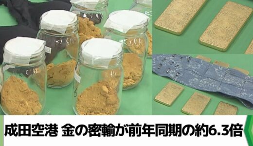 金の密輸が前年同期の約６．３倍 時価総額３０億２４００万円相当 成田空港　（2024.09.25放送）