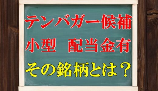 「テンバガー候補＆低時価総額＆配当金有」お探しのものが見つかりました！