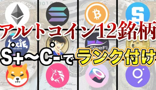 【仮想通貨】半減期前のビットコインに投資はちょっと待った！アルトコインランク１位は「」です！