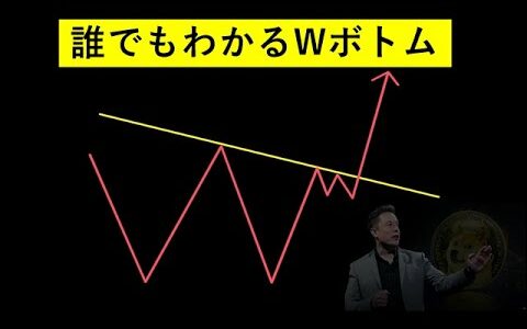 今Wボトムで暴騰しやすい仮想通貨はこれ【チャートパターン編①】