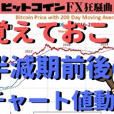 半減期前後のチャート値動きをおさらい｜2021年1BTC=1250万円説