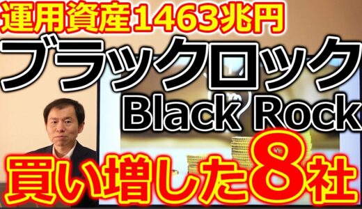 運用資産1463兆円！世界最大の資産運用会社ブラックロックが買い増した日本株8選