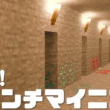 【マインクラフト】簡単解説｜ブランチマイニングのやり方・方法 #2｜初心者向き【マイクラ実況】